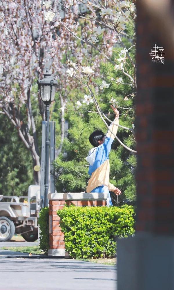 青三成员公布恋情,青三官宣出道