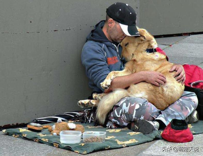 狗狗同床睡的危害,狗狗跟人一起睡对人有什么坏处