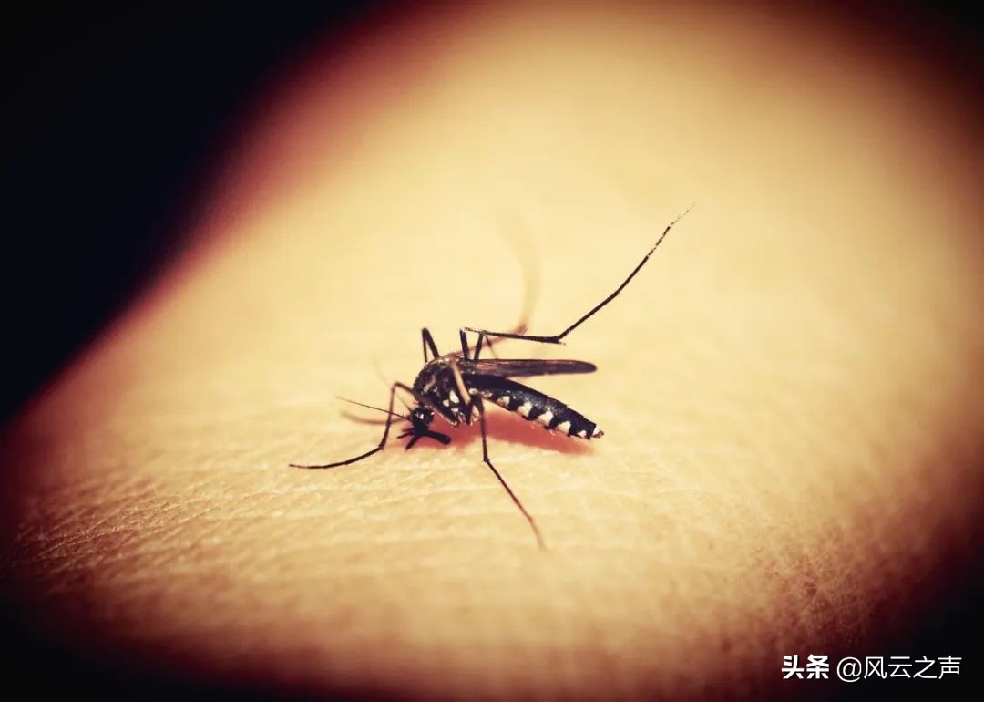 香蕉为啥可以点屏幕,为什么香蕉可以触屏