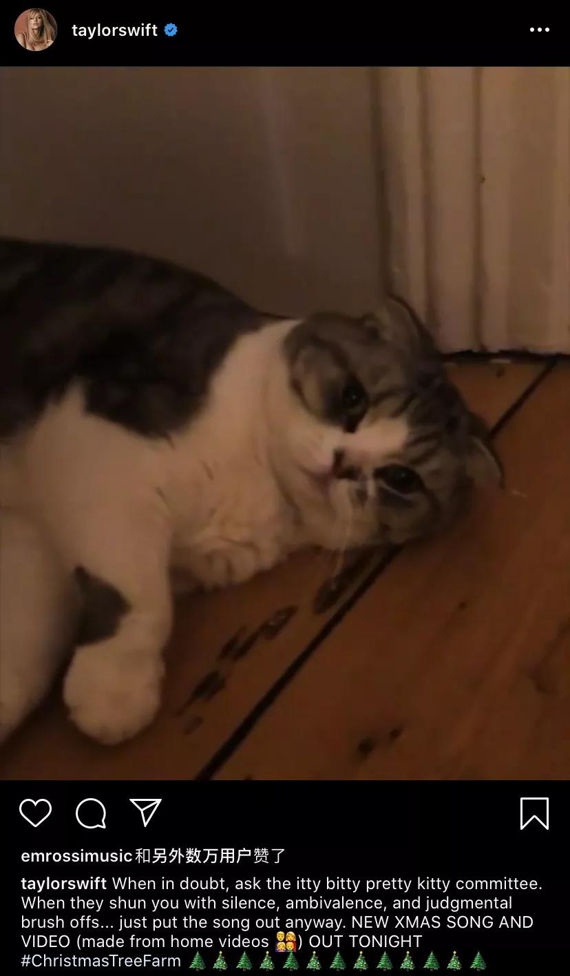 「JALOUSE」有一说一,我确实馋他们的身子