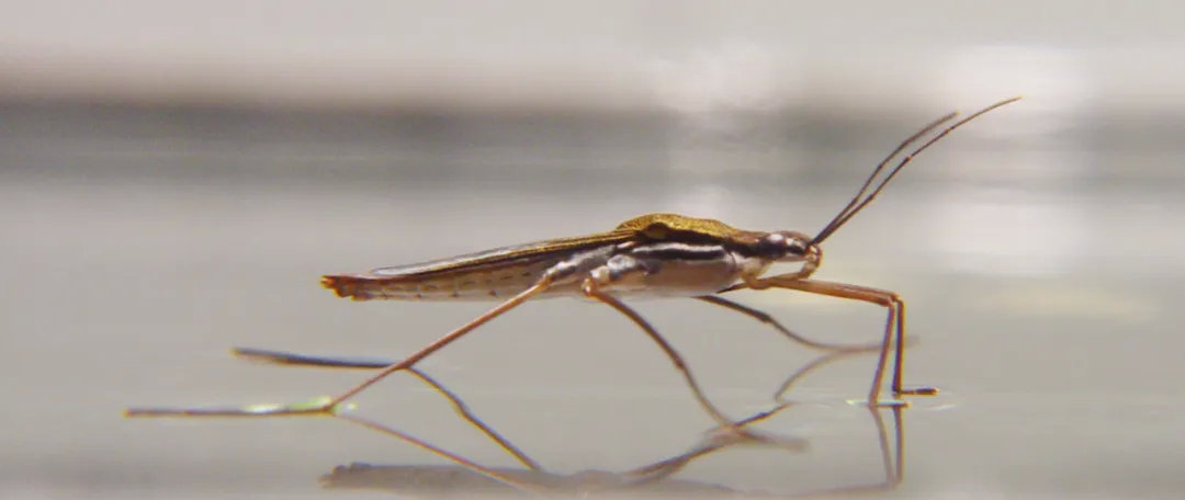 孩子膀胱容量130,儿童最大膀胱容量197正常吗