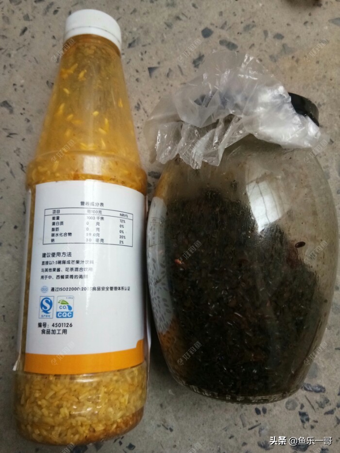 冬季黑米窝料野钓专用,钓鱼黑米打窝