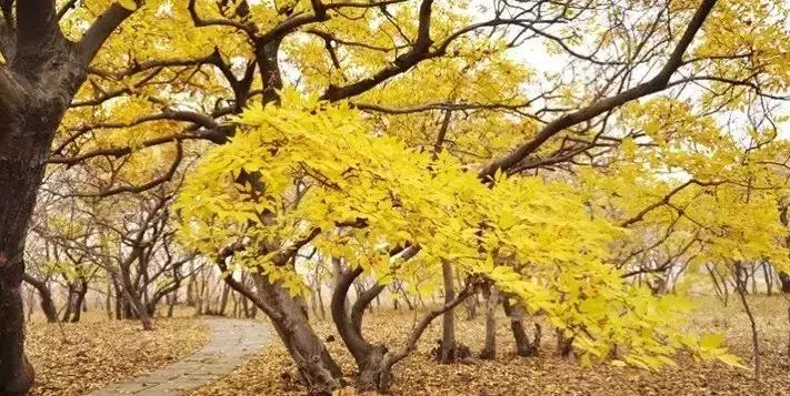 7-8月份推荐海岛旅游,秋天适合旅游的海岛