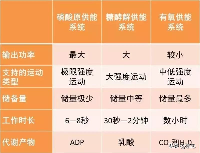 长距离跑时快速补充能量,怎么样才能训练自己跑得快