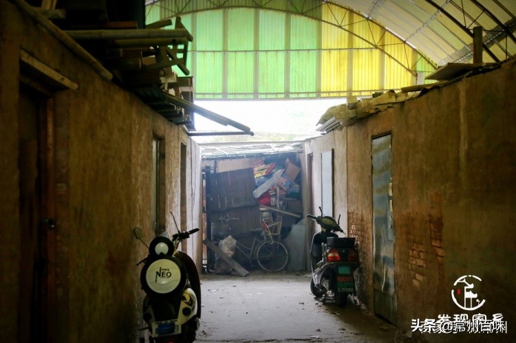 四季更迭时光流转又是新的一年,四季变迁春去秋来