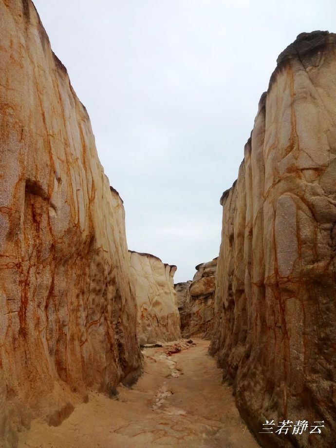 福建省漳州市六鳌镇抽象画廊,漳州六鳌抽象画廊从哪进去免费