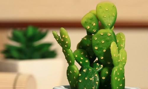 什么植物可以吸厨房的油烟容易活,厨房吸油烟小妙招