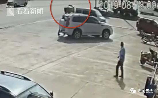 三峡怪物之谜,三峡大坝里的奇怪生物