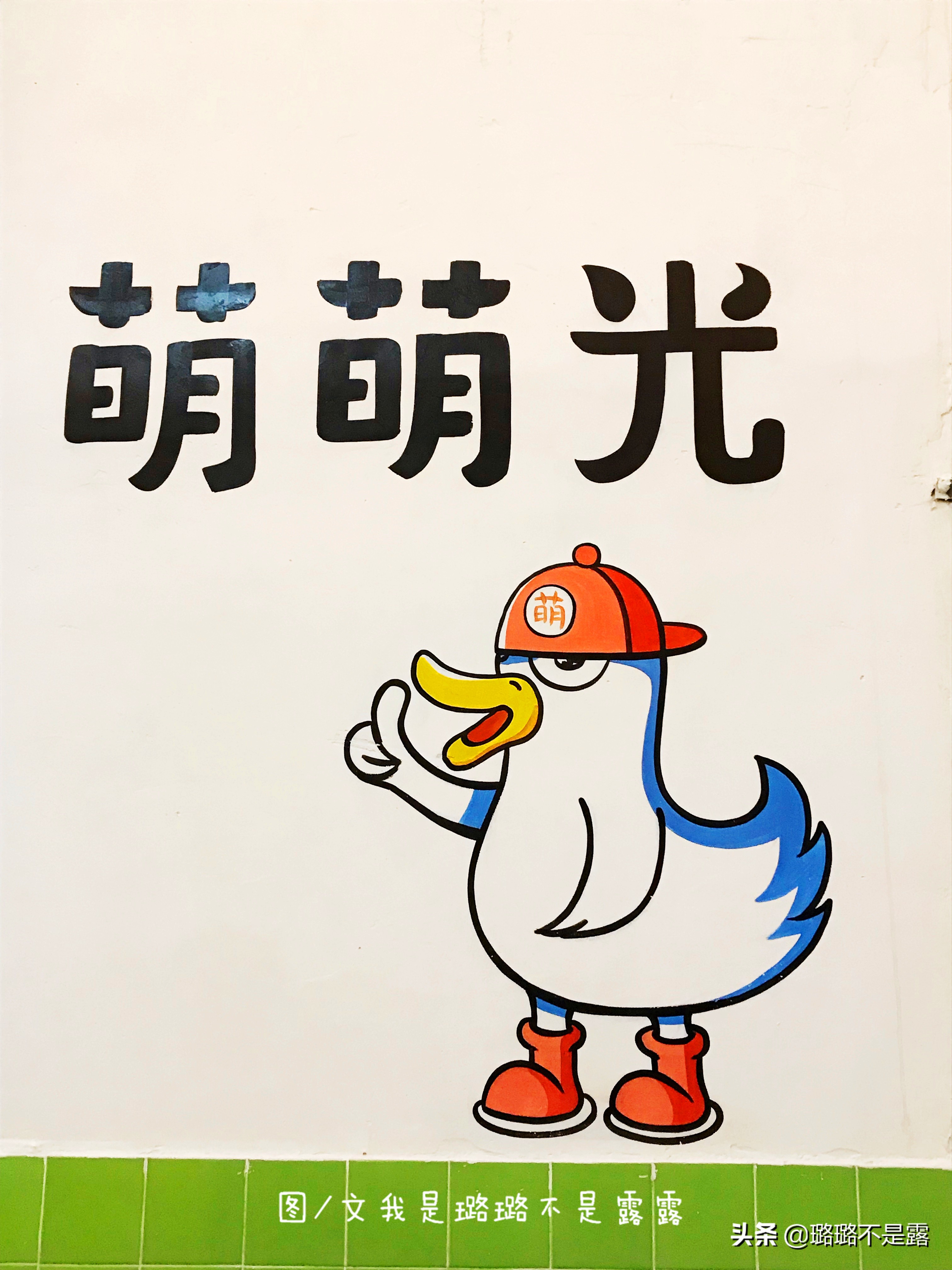 检验鱼最好的方法,怎样鉴别鱼是否是健康的