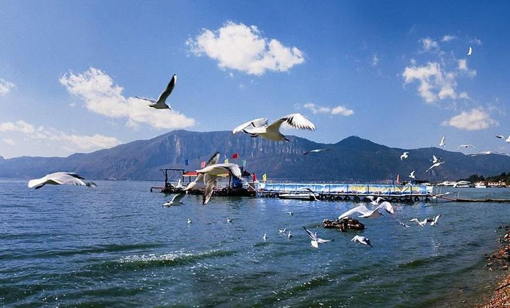 云南建议租车自驾游吗,云南租车游最佳攻略