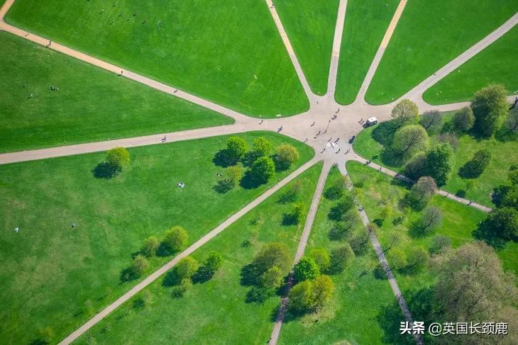 520/521：五月阳光下，伦敦依然盛放。记得常回来看看