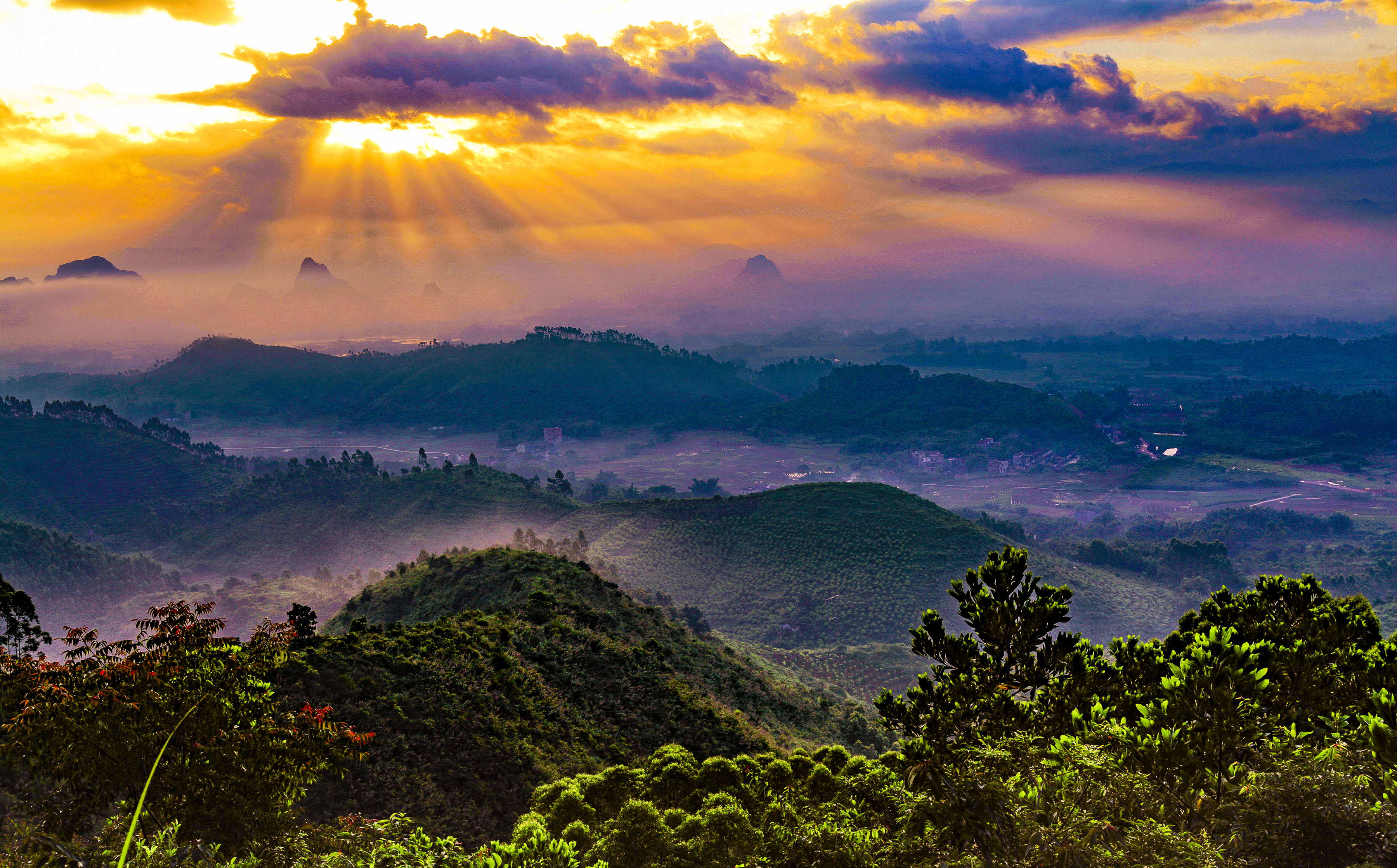 束氏茶业新模式,束氏茶界最新消息