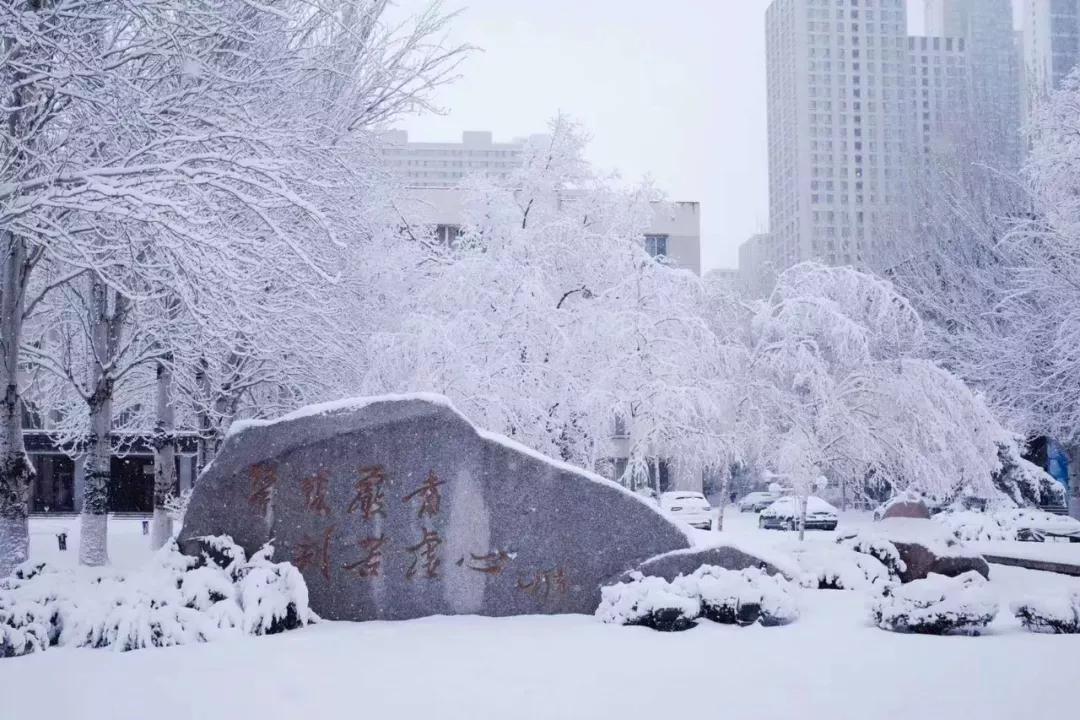 辽宁大学和鲁迅美术学院,辽宁省鲁迅美术学院是985吗