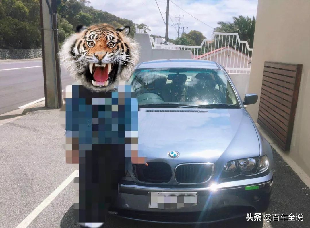 「澳洲系列」你吃过袋鼠吗？我撞过