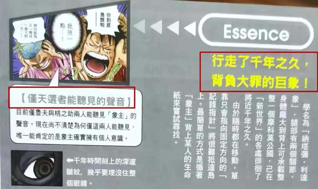 海贼王机械甲,海贼王里特殊的武器