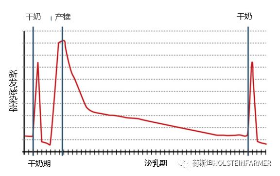 PeterEdmondson博士：乳房炎防控之干奶期管理