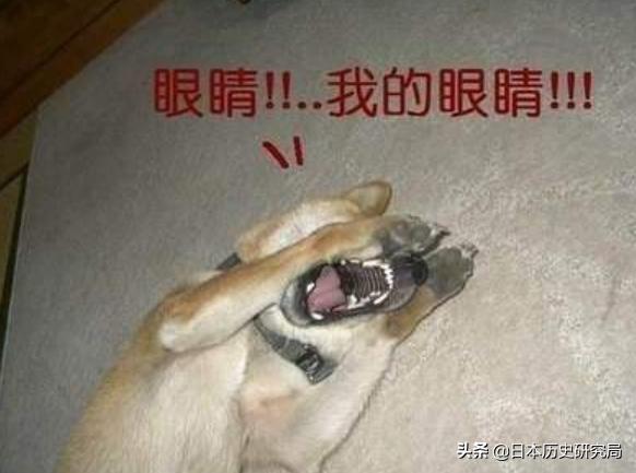 日本708年进入王国时代的原因,日本建国日是哪一天