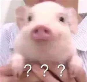 沈梦辰和董璇现在怎么样了,沈梦辰和吴昕二手店