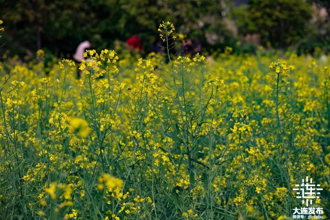 周末去哪玩周边游推荐一个好地方,周边游假期旅游攻略