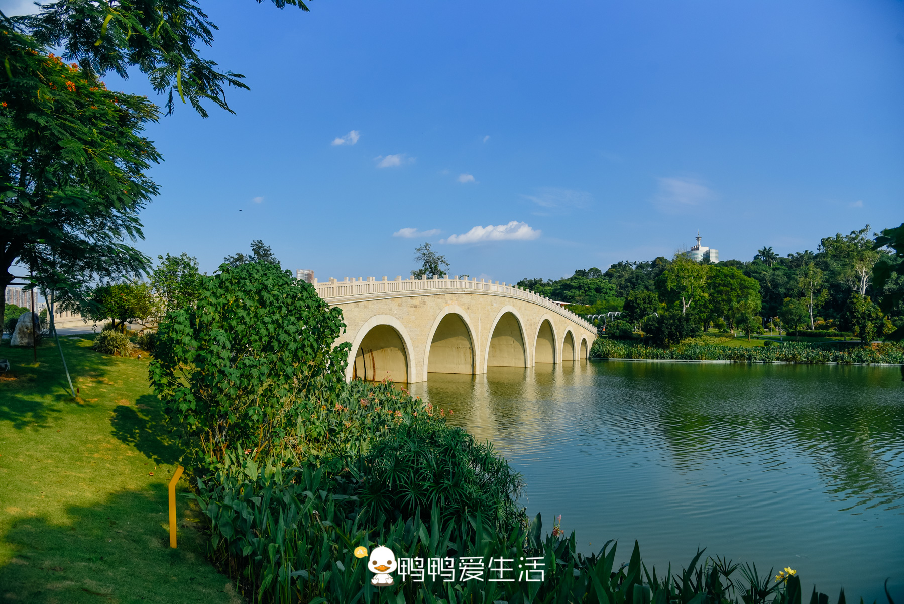 福建旅游景点免票景区,福建过年景区免票