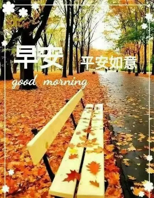 不要让自己心乱的短语,别让自己乱了方寸