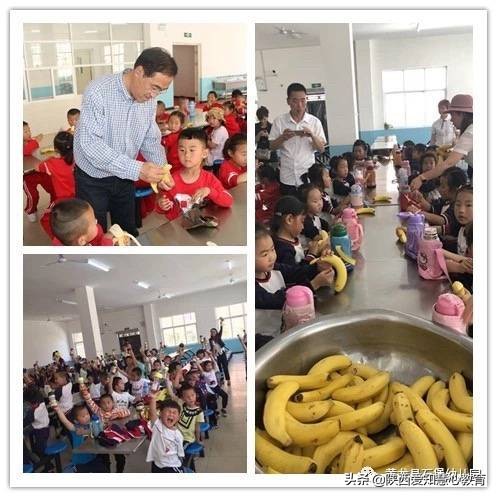 行知实验学校好吗,黄龙行知实验学校