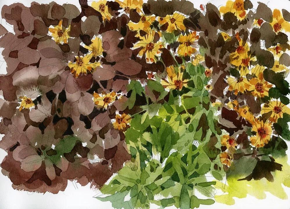 酣畅淋漓的水彩,酣畅淋漓水彩