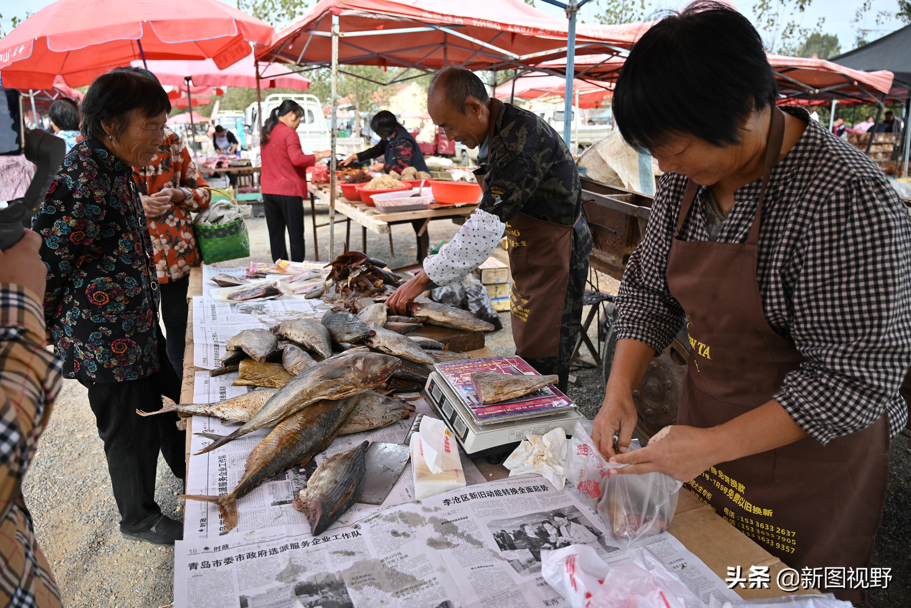 农村卖鱼夫妻,农村夫妇卖鱼视频