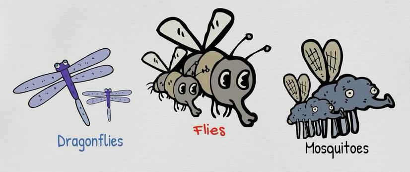 动物类英语单词记忆教学,每日英语单词之动物单词