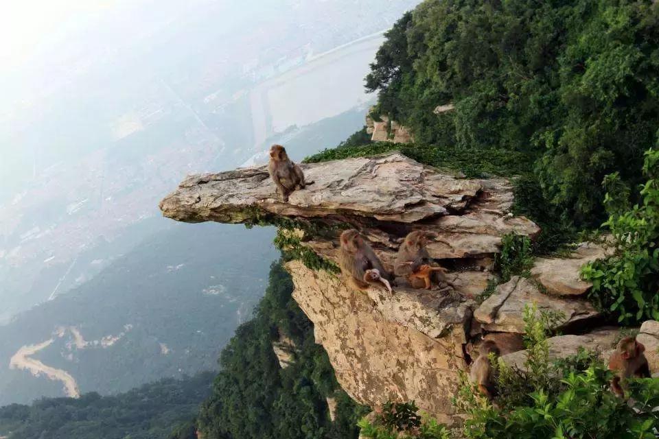 山西4月机票去哪里最便宜,四月山西特价机票