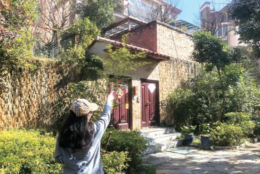 昆明德牧咬死小狗,小区德牧咬死狗