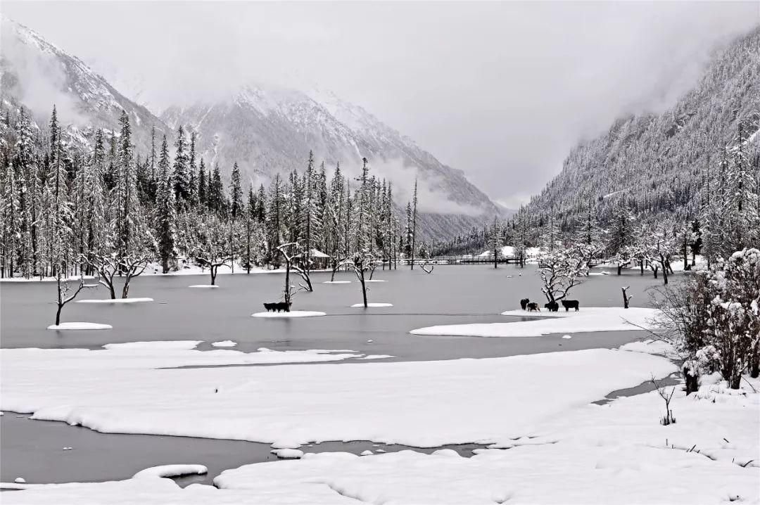 四姑娘山2020年11月份景色,四姑娘山2021年9月份景色