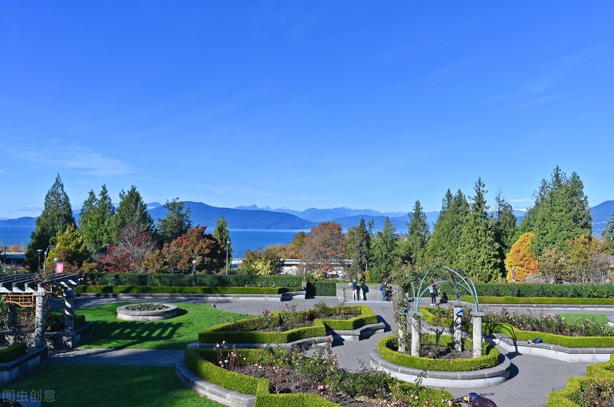 美国一共有多少常春藤大学,美国常春藤联盟大学有哪几所