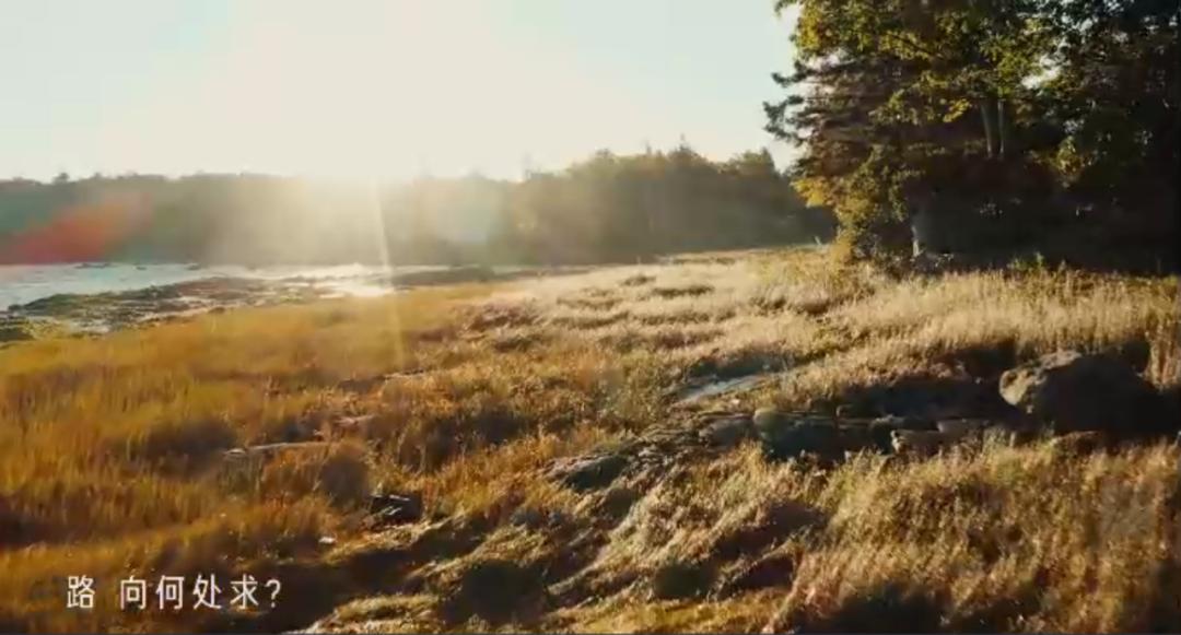 2021知乎答案,最佳案例知乎