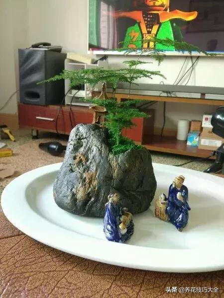 花盆5元一个,花盆不用花钱买