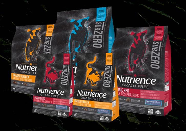 拉布拉多吃什么狗粮品牌,拉布拉多幼犬狗粮排名前十位