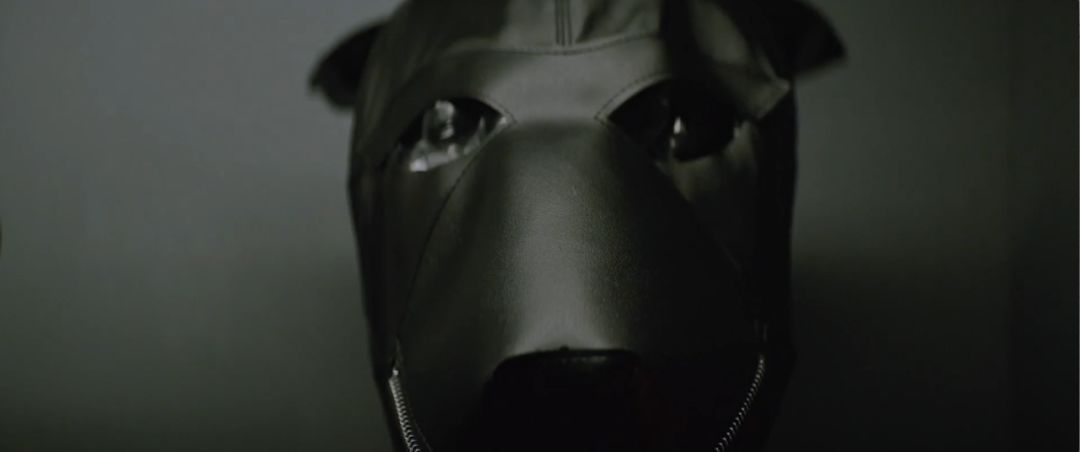 最近的cult片,cult新片