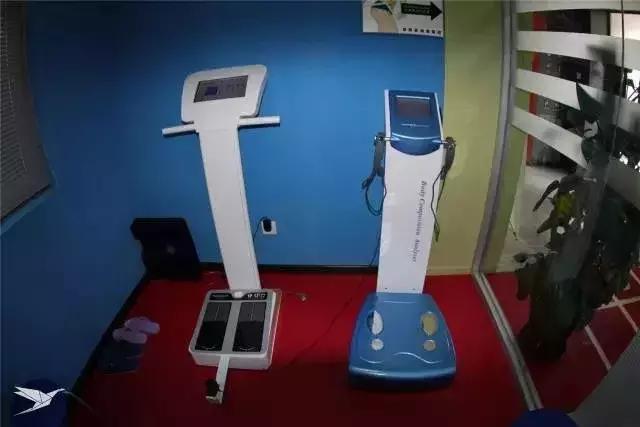 健康跑吧迎新春,奔跑吧周年庆节目