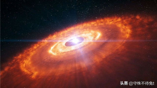 10个冷知识：用手触摸“癞蛤蟆”，手上不会起疙瘩