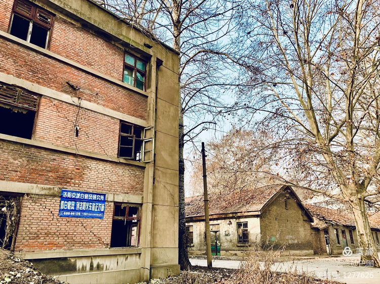 新安老家怀旧行，洛玻砂岩矿成为历史，洛阳水泥厂辉煌不再