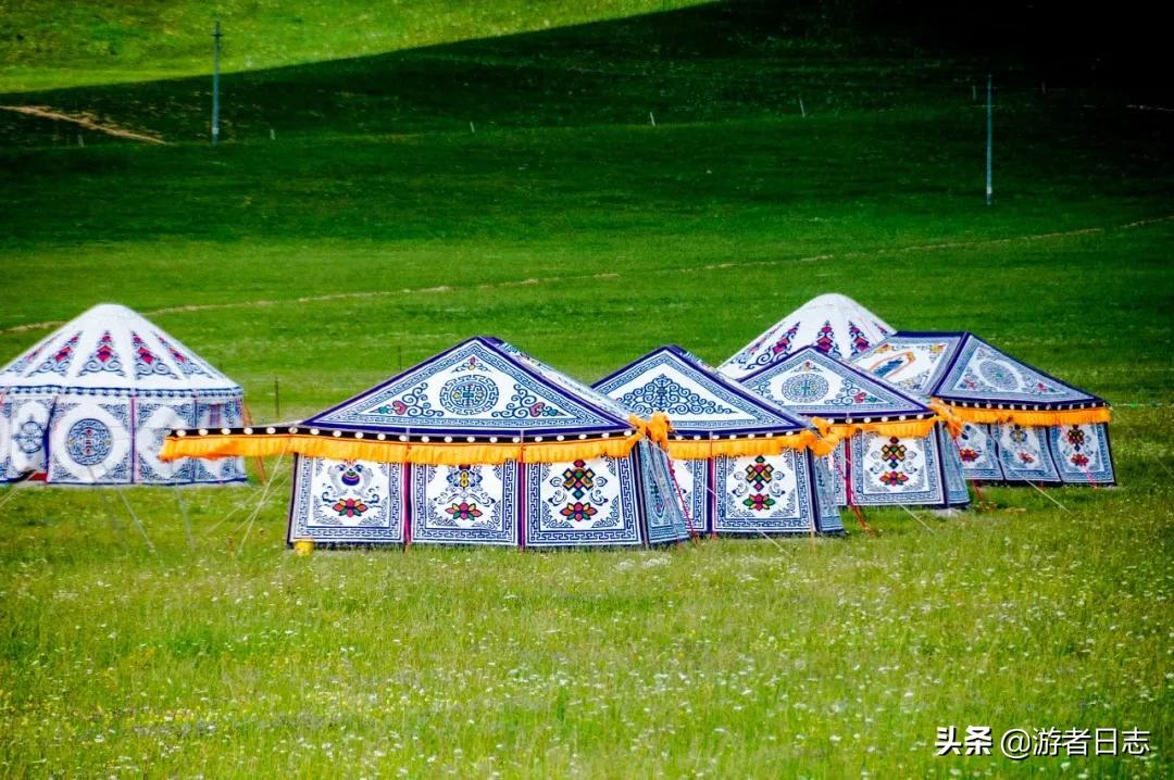 六月奔赴甘南去见证它究竟有多美,六月的甘南简直太美了