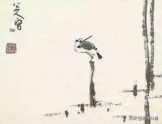 马德允许自己虚度光阴,马德说过什么话