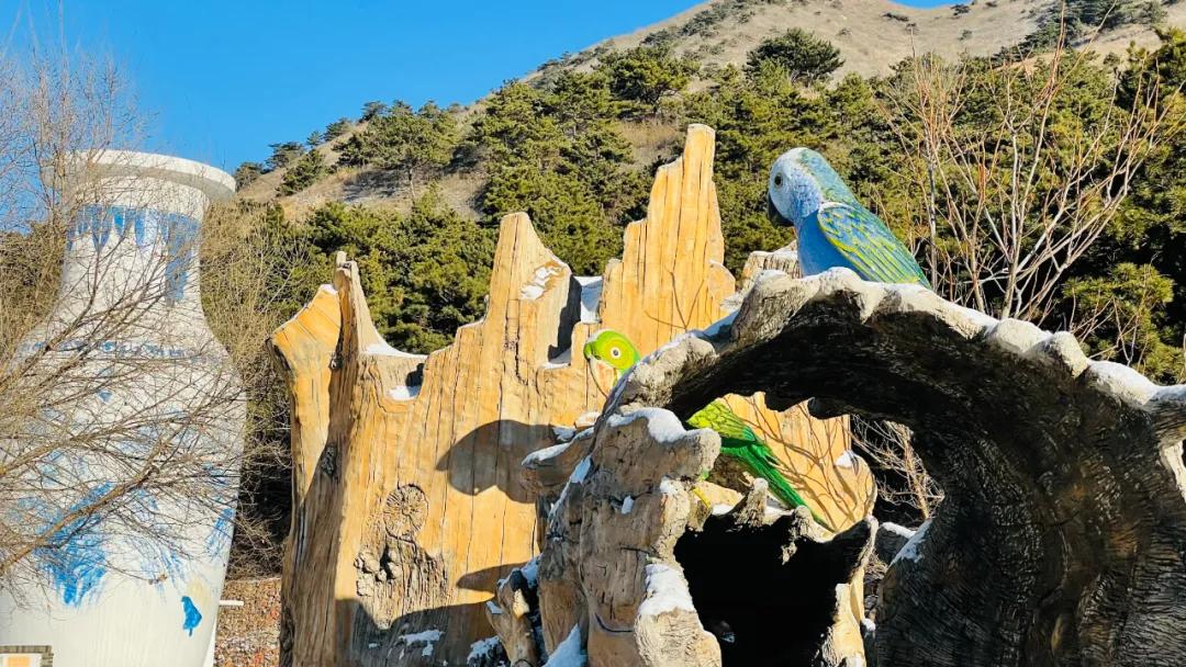 宛如仙境的景点,犹如仙境般的雪景