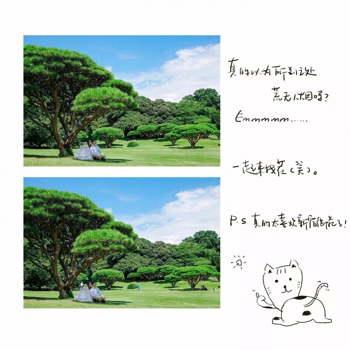 火爆抖音自拍婚纱照,婚纱照个人怎么自拍好看