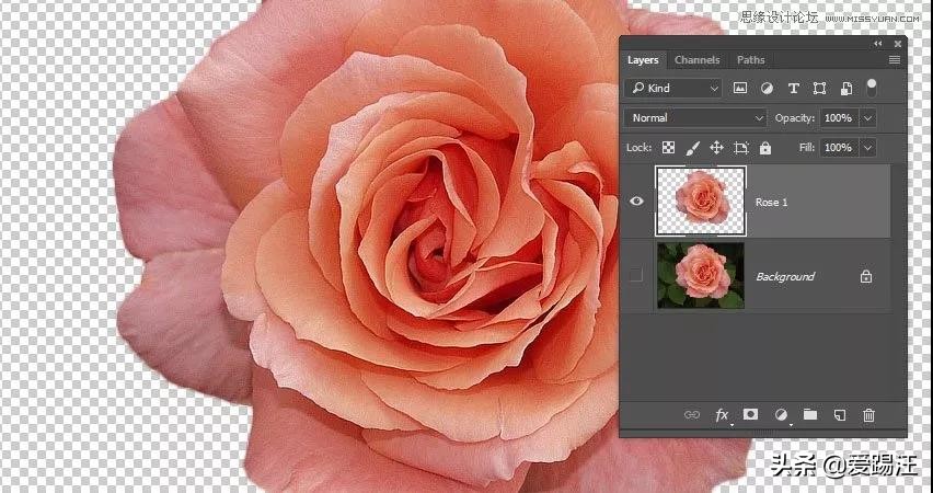 ps教程素材图片,ps教学制作漂亮的鲜花艺术字