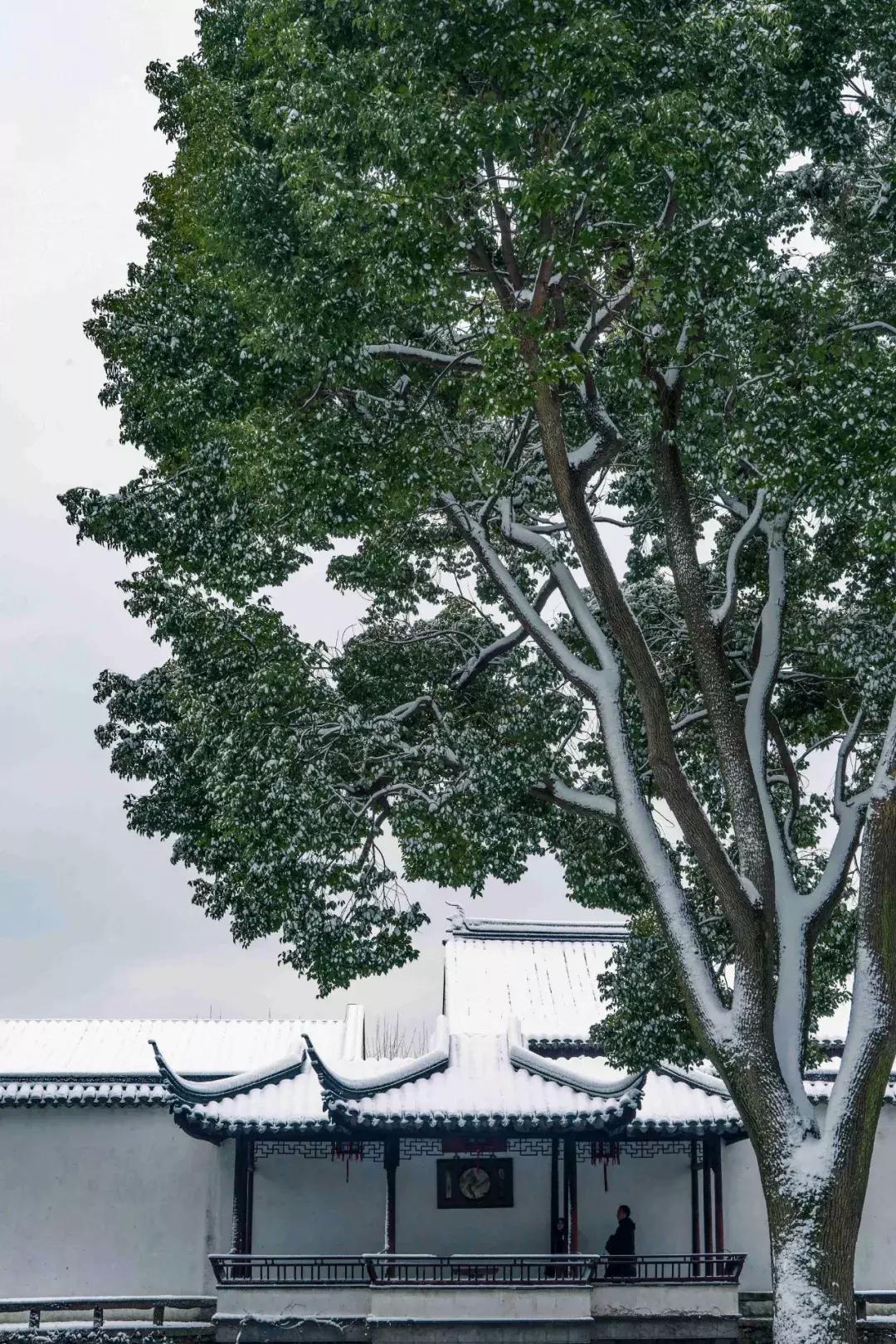 探访苏州老景区拙政园,苏州拙政园因谁出名