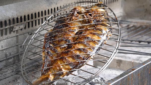 鱼控要疯了~光靠颜值就已经圈粉无数