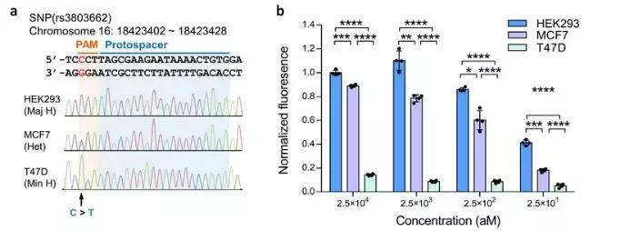 国产抗癌新药来啦,基因技术新突破