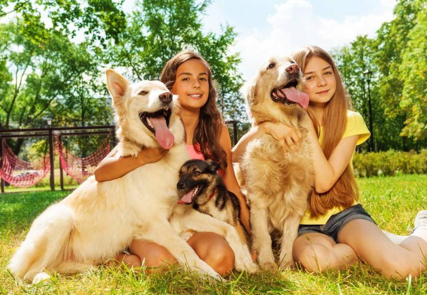 狗狗情绪全解读|狗狗生气、开心的信号？