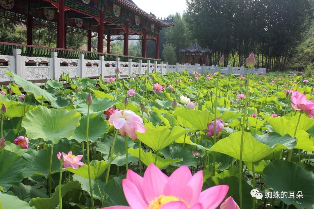 河北享水溪风景区,享水溪景区2018年